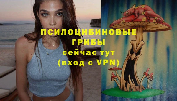 не бодяженный Алексин