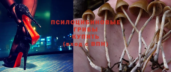 не бодяженный Алексин