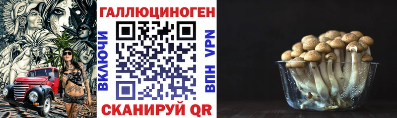 Псилоцибиновые грибы MAGIC MUSHROOMS  где купить наркоту  Бокситогорск 